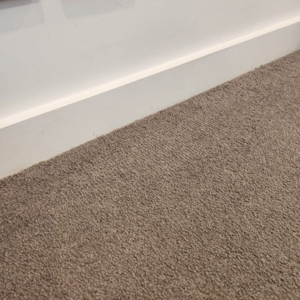 Photo of Carpet Care and Repair