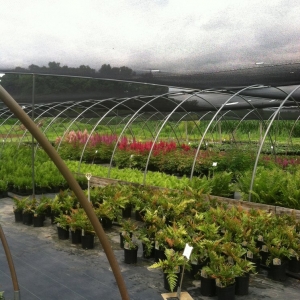 Photo of Elite Gardens By Natalee