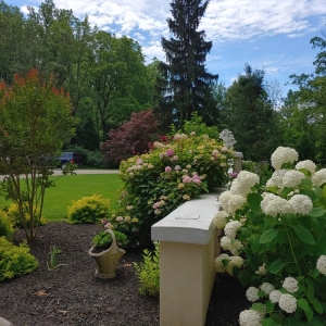 Photo of Elite Gardens By Natalee