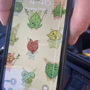 Photo of iPhone DOCTOR - Rancho