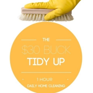 Photo of The 30 Buck Tidy Up
