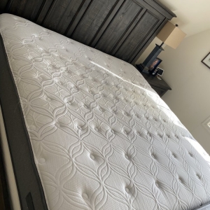 Photo of Daisy Carpet and Upholstery Cleaning