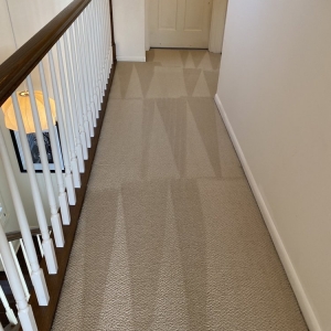 Photo of Daisy Carpet and Upholstery Cleaning