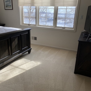 Photo of Daisy Carpet and Upholstery Cleaning