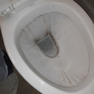 Photo of Royalty Cleaning