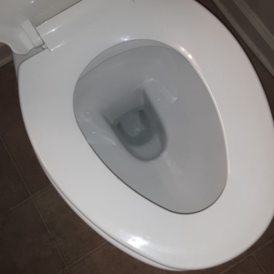 Photo of Royalty Cleaning