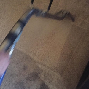 Photo of Affordable Restorative Carpet Cleaning