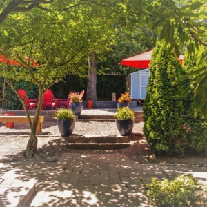 Photo of Cellar 503