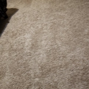 Photo of Express Carpet Cleaning