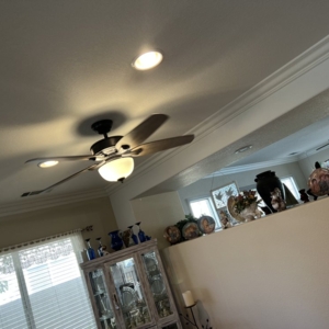 Photo of Figure Electric
