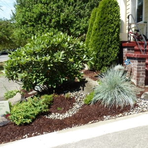 Photo of The Garden Artist