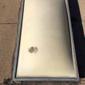 Photo of jauregui's roofing