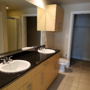 Dallas Spearmint Cleaning