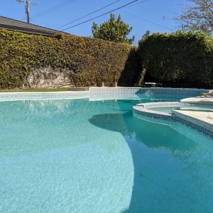 Photo of Divine Pool Service