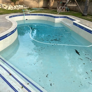 Photo of Divine Pool Service