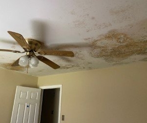 Photo of Best Cleanup