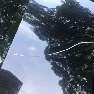 Photo of Bubble Tunnel