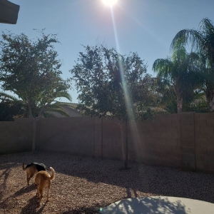 Photo of Gonzalez Lucio Landscaping