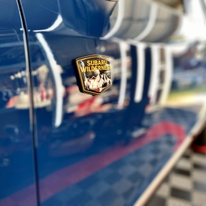 Photo of Gloss Boss Detail