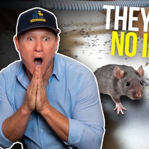 Photo of Rodent Stoppers - Los Angeles