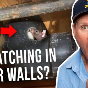 Photo of Rodent Stoppers - Los Angeles