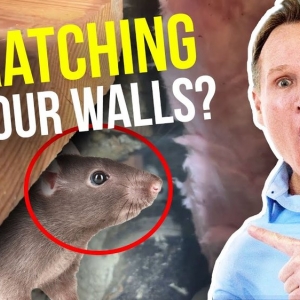 Photo of Rodent Stoppers - Los Angeles