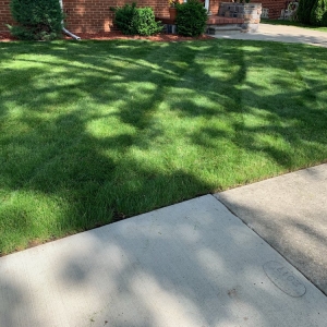 Photo of Always There Lawn Care