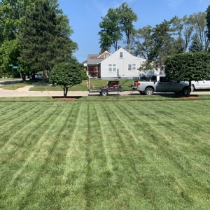 Photo of Always There Lawn Care