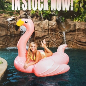 Photo of Niguel Pool Supply