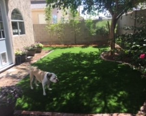Photo of Arizona Turf Masters