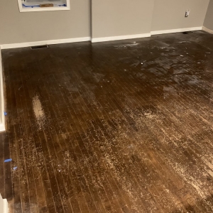 Photo of Luminous Flooring