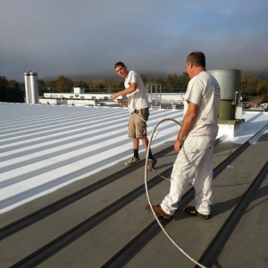 Photo of Painting and Repair by Brian