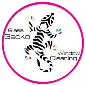 Photo of Glass Gecko