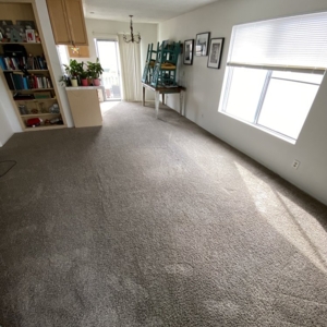 Photo of Green Coast Carpet Care