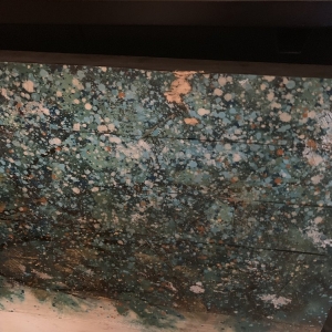 Photo of Ed's Moving & Storage