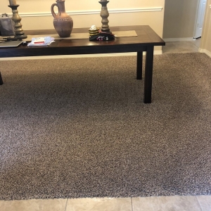 Photo of Healthy Green Cleaning