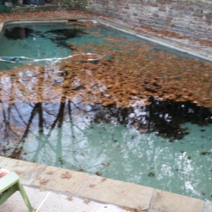 Photo of Elite Swimming Pool and Spa Service