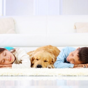 Photo of Philadelphia Carpet Cleaning Pros