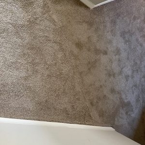 Photo of Mynd Property Management Houston