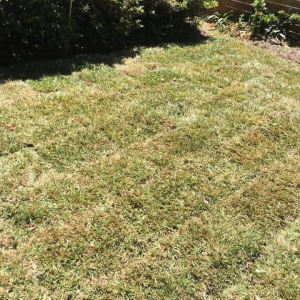 Photo of Lawn, Land & Home Repairman