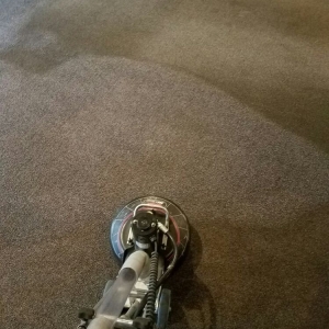 Photo of A-1 Carpet Cleaning