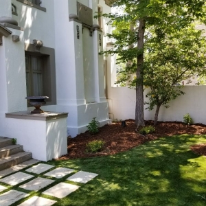 Photo of Top Notch Turf and Landscaping