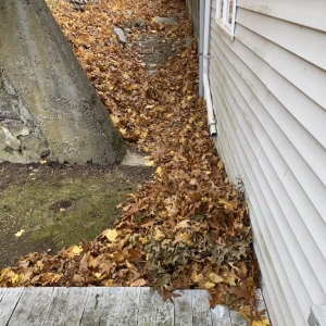 Photo of Flynn & Sons Property Management