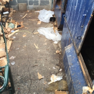 Photo of The Reliable Power Washing Guy