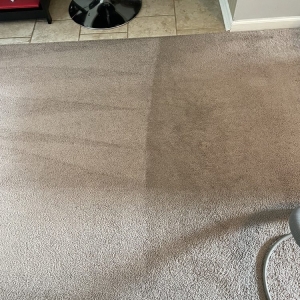 Photo of Pure Dry Carpet Care