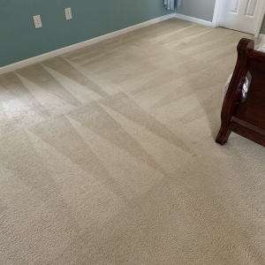 Photo of Pure Dry Carpet Care