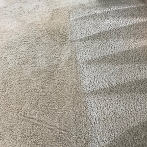Photo of Pure Dry Carpet Care
