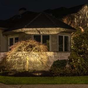 Everett Moon Shadows Landscape Lighting