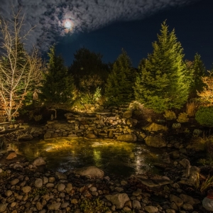 Photo of Moon Shadows Landscape Lighting