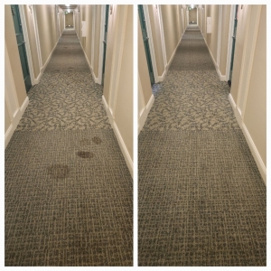 Photo of Alves Cleaning Services